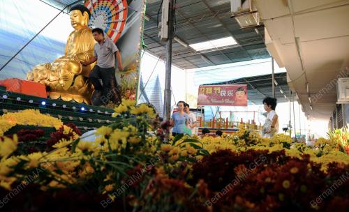 PG08_22052013_BUDDHA_BUNGA