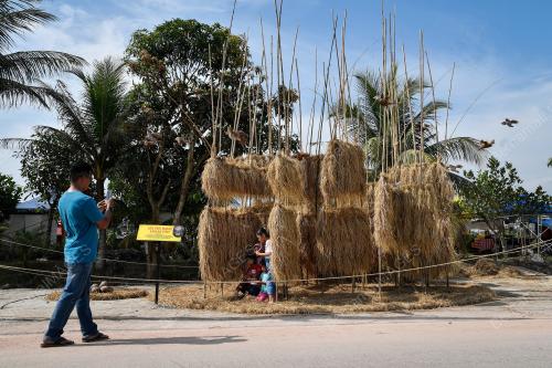 PESTA PADI ANTARABANGSA PULAU PINANG