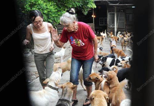 PG08_22092015_ANJING_LIAR