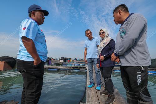 SANGKAR IKAN
