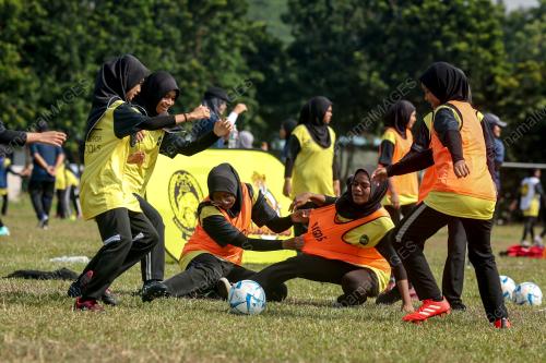 PROGRAM FIFA