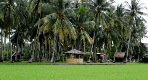 KAMPUNG AGONG