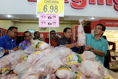 PG09_04022016_HILMI_AYAM