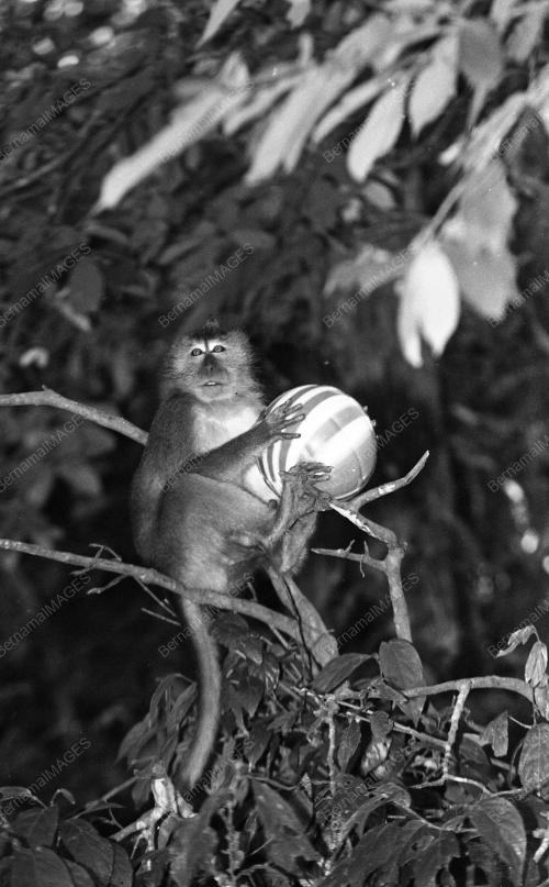 PG09_05022015_TAMAN_BOTANI
