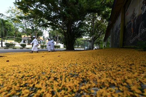 PG09_05042019_KARPET_KUNING_BN201904055687