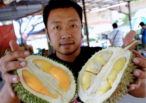 PG09_11062013_DURIAN_BALIK_PULAU