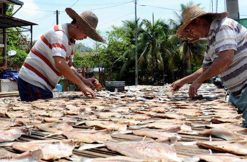 PG09_12032013_JEMUR_IKAN