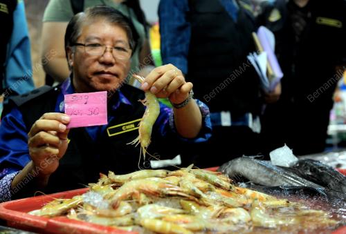 PG09_14012016_UDANG_MAHAL