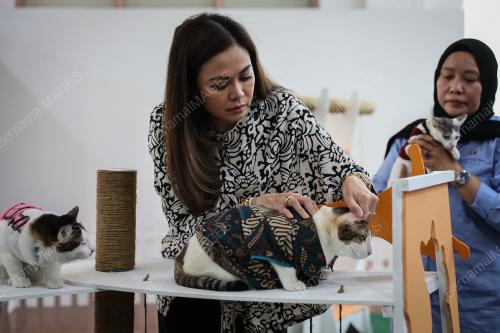 TENGKU PERMAISURI NORASHIKIN