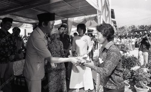 MUSA HITAM