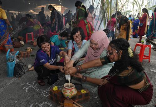 PESTA PONGGAL