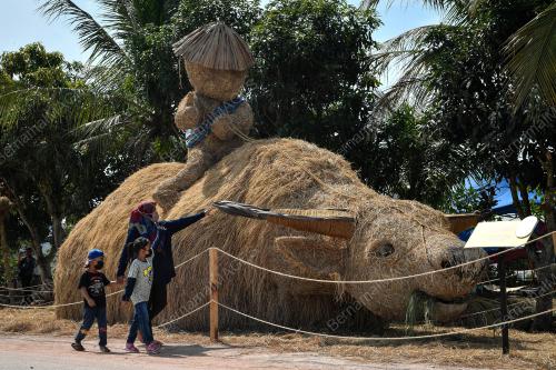 PESTA PADI ANTARABANGSA PULAU PINANG