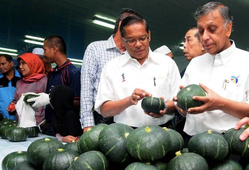 PG09_23022012_MENTERI_BUAH