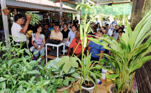 PG09_25072015_TUMBUHAN_BANDAR