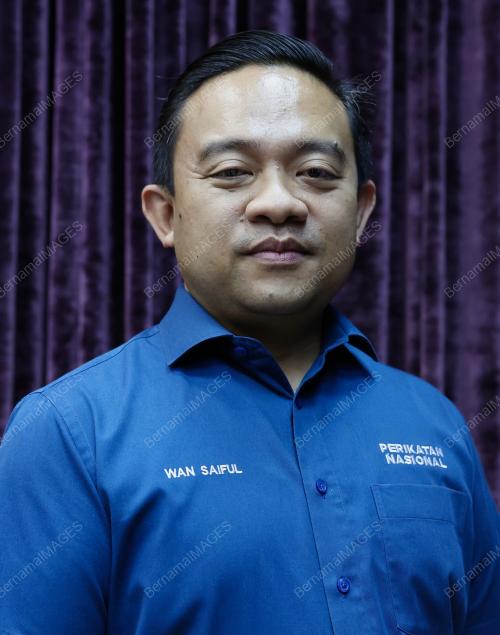 DATUK WAN SAIFULRUDIN WAN JAN