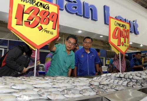 PG10_04022016_HILMI_IKAN