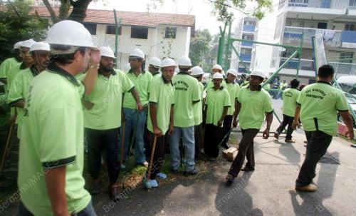 PENDUDUK BUAH PALA