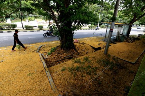 PG10_05042019_KUNING_BN201904055687