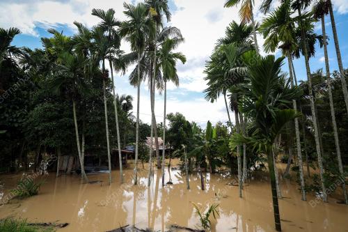 BANJIR PULAU PINANG