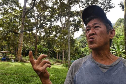 BALIK PULAU SYURGA DURIAN