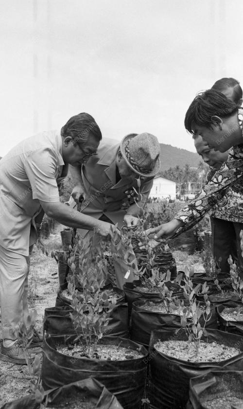 PG10_19012015_HARI_PETANI