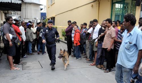 PG10_19122012_ANJING_KESAN