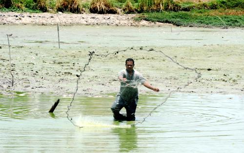 PG10_20032016_MENJALA_IKAN