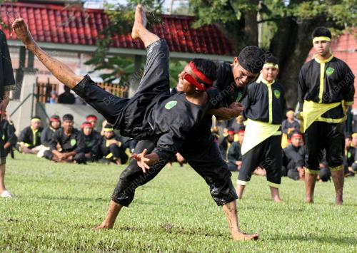 SENI SILAT LINCAH