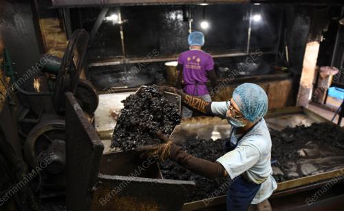 KILANG KOPI SBK