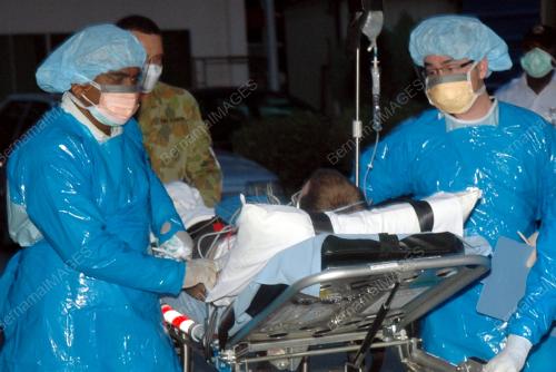 H1N1