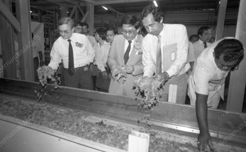 PG10_27012015_TEMBAKAU