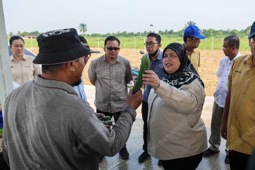 DATUK RUBIAH WANG