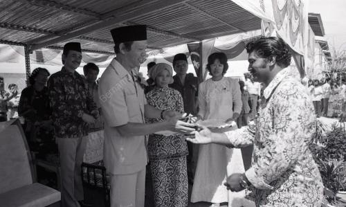 MUSA HITAM