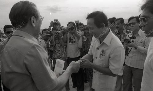 MUSA HITAM