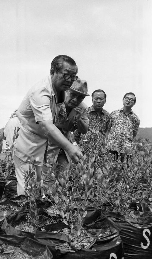 PG11_19012015_HARI_PETANI