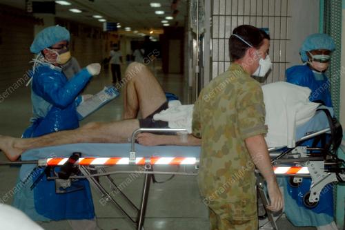 H1N1