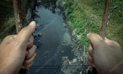 SUNGAI KREH_NAJIS KHINZIR