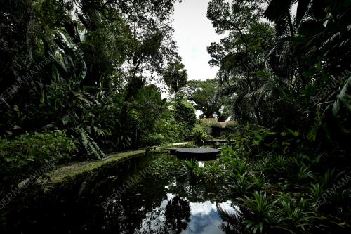 TROPICAL SPICE GARDEN