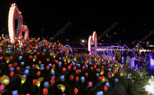 PG12_03122018_HIASAN_BUNGA