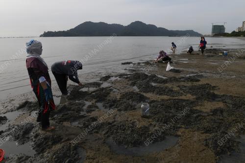 SIPUT KEPAH
