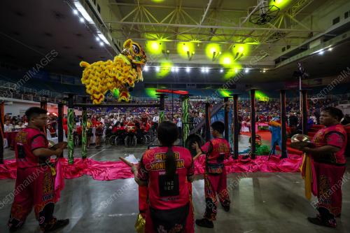 TAHUN BAHARU CINA 2024