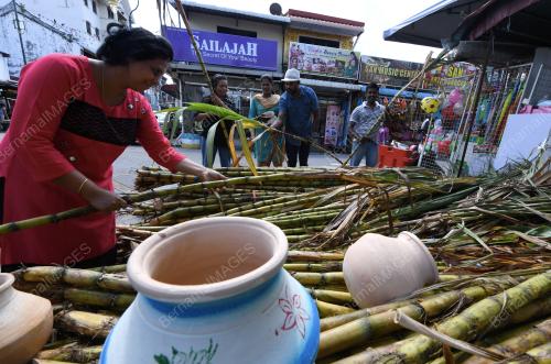 PG12_14012019_PERSIAPAN_PONGGAL