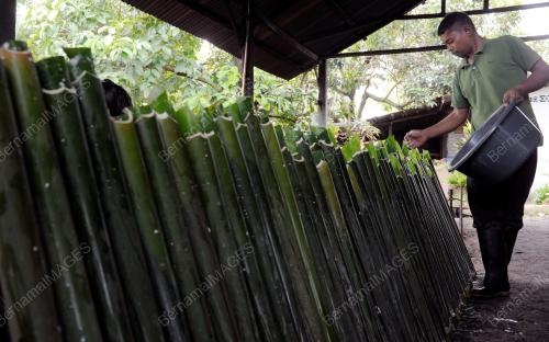 PG12_15072015_SIAP_LEMANG