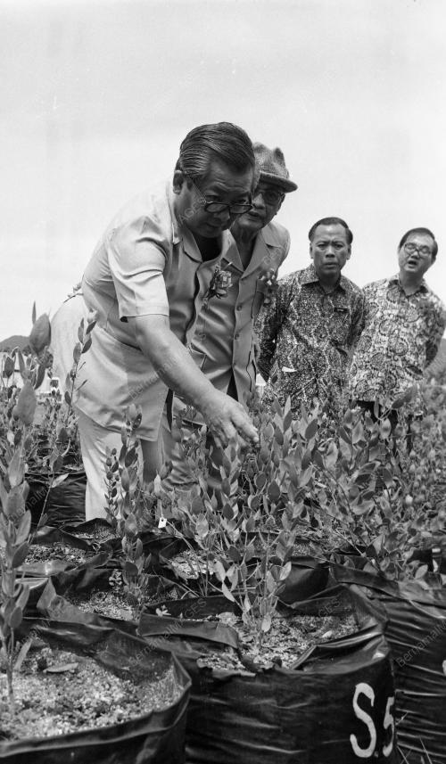 PG12_19012015_HARI_PETANI