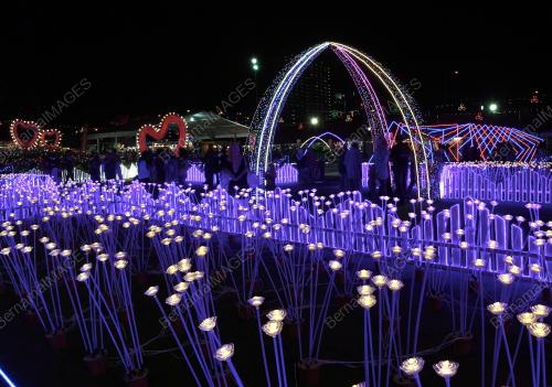 PG13_03122018_PESTA_BUNGA