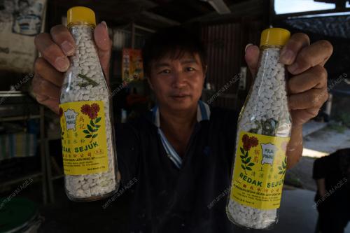 BEDAK SEJUK