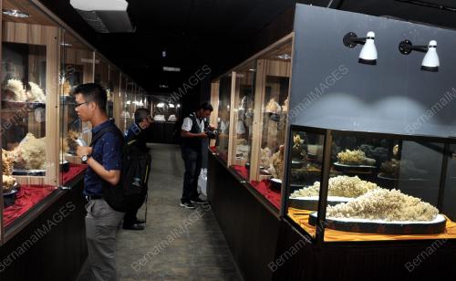 PG13_11052016_PAMERAN_KRISTAL