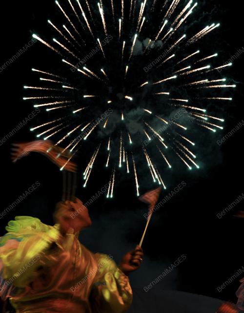 PG13_17072012_BUNGA_API