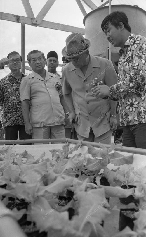 PG13_19012015_HARI_PETANI