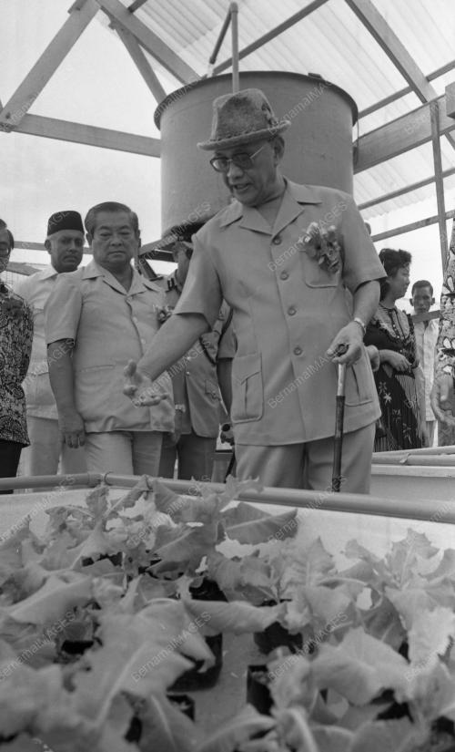 PG14_19012015_HARI_PETANI